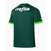 Palmeiras 2023-24 Domácí - Fotbalové Dresy (S/S)